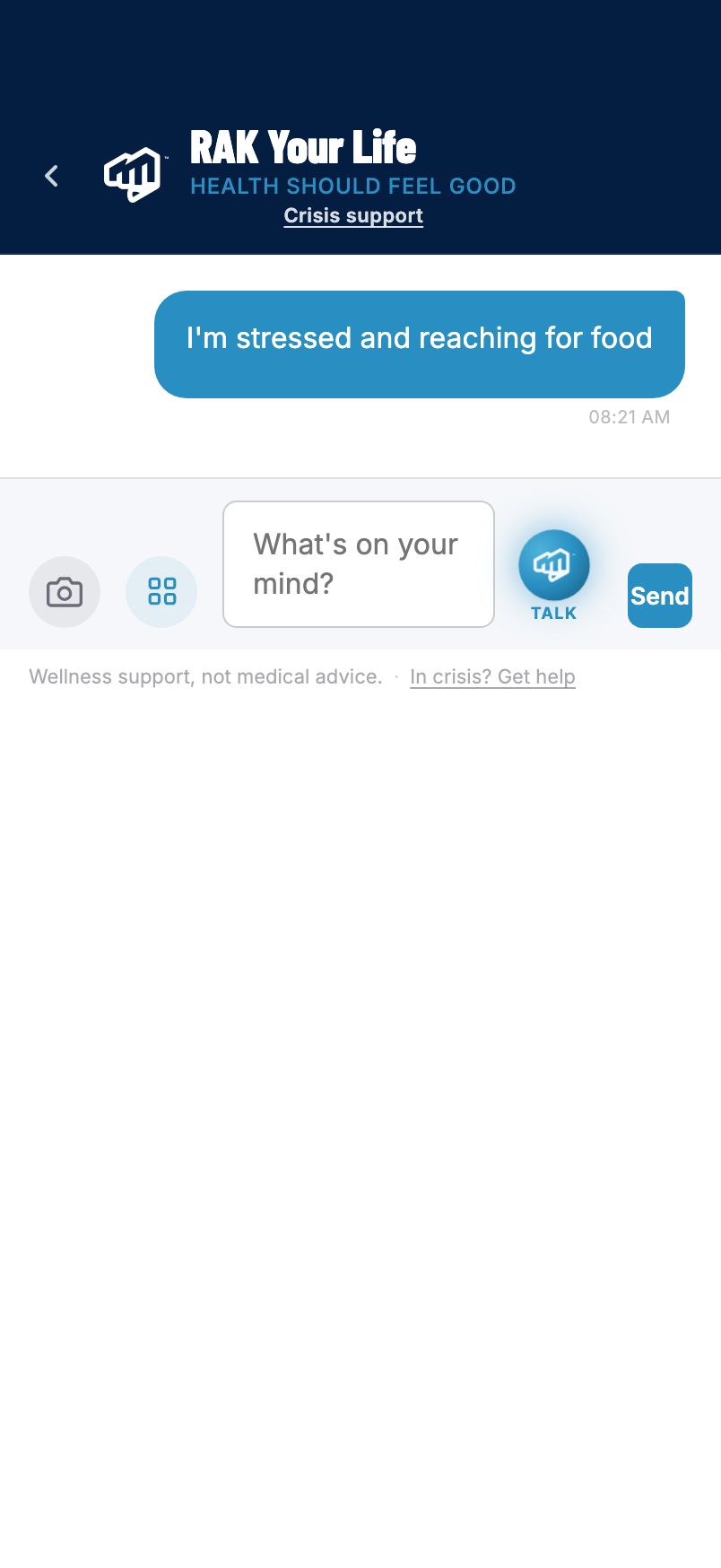 RAK AI chat screen